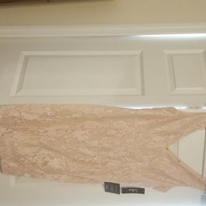 lulus blush lace dress